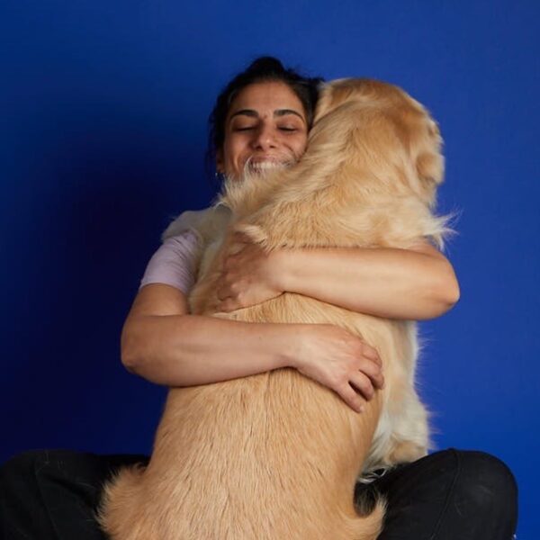 Τhe dog project