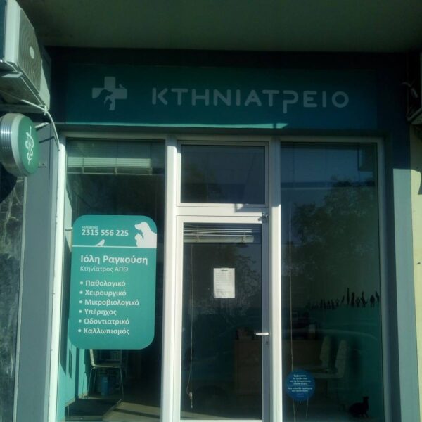 Ραγκούση Ιόλη