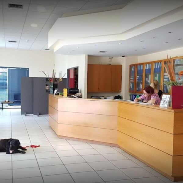 24ωρο Νοσοκομείο Ζώων Αθηνών στο Πικέρμι